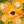 A festive flat-lay of five types of crackers arranged on a bright orange holiday-themed background with pine branches, holly leaves, and red berries. The crackers are labeled with white text: 'SALTED CRACKERS' topped with cream and a cucumber slice, 'CREAM CRACKERS' topped with cream and black pepper, 'POPPY & SESAME' topped with poppy seed cream, 'WATER BISCUITS' topped with cream, and 'SALT & CRACKED BLACK PEPPER' topped with salted cream.