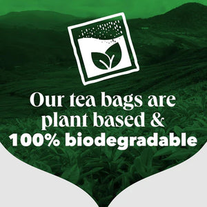 PG Tips Original Black Tea - 80 Teabags