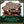 Nestlé After Eight Mint Chocolate Thins Carton
