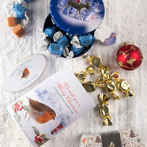 Gardiners Handmade Fudge Christmas Robin Vanilla Fudge Tin 250g