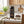 A can of Guinness Chocolates stands on a kitchen counter beside a bowl of chocolate-covered nuts, with lemons, a plant, and wooden cabinets in the background.