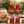Nando's PERi-PERi Hot Sauce - 125g