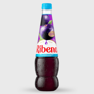 Ribena bottle on a white background