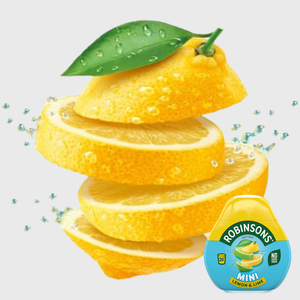 Robinsons Lemon & Lime Mini Squash - 66ml