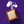 A square Cadbury chocolate bar with a light tan center and dark brown border, shown on a solid purple background with white stylized chocolate-coated earbuds above it.