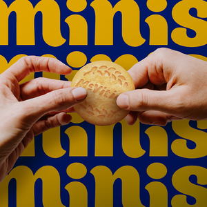 McVities Digestives Milk Chocolate Mini Biscuit Bag - 80g