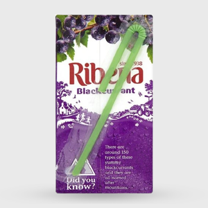 Ribena Blackcurrant Mini Ready-to-Drink Juice Box - 250ml