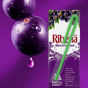 Ribena Blackcurrant Mini Ready-to-Drink Juice Box - 250ml