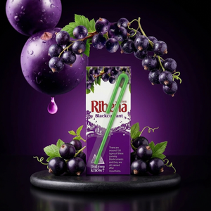 Ribena Blackcurrant Mini Ready-to-Drink Juice Box - 250ml