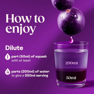Ribena Blackcurrant Cordial Concentrate - 850ml