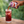 Vimto Original Fizzy Mixed Fruit Drink - 330ml