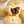 Close-up of mince pies with one cut open to reveal the filling.