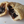 Half-eaten mince pie with fruit filling on a white background