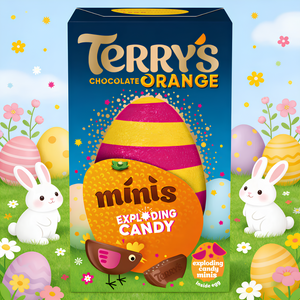 Terry's Chocolate Orange Egg Exploding Mini Candy Egg - 91g