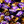Cadbury Eclairs Gift Box Carton 300g